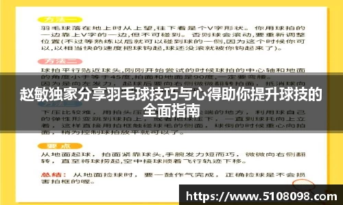 赵敏独家分享羽毛球技巧与心得助你提升球技的全面指南